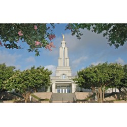 San Antonio Texas Temple Recommend Holder